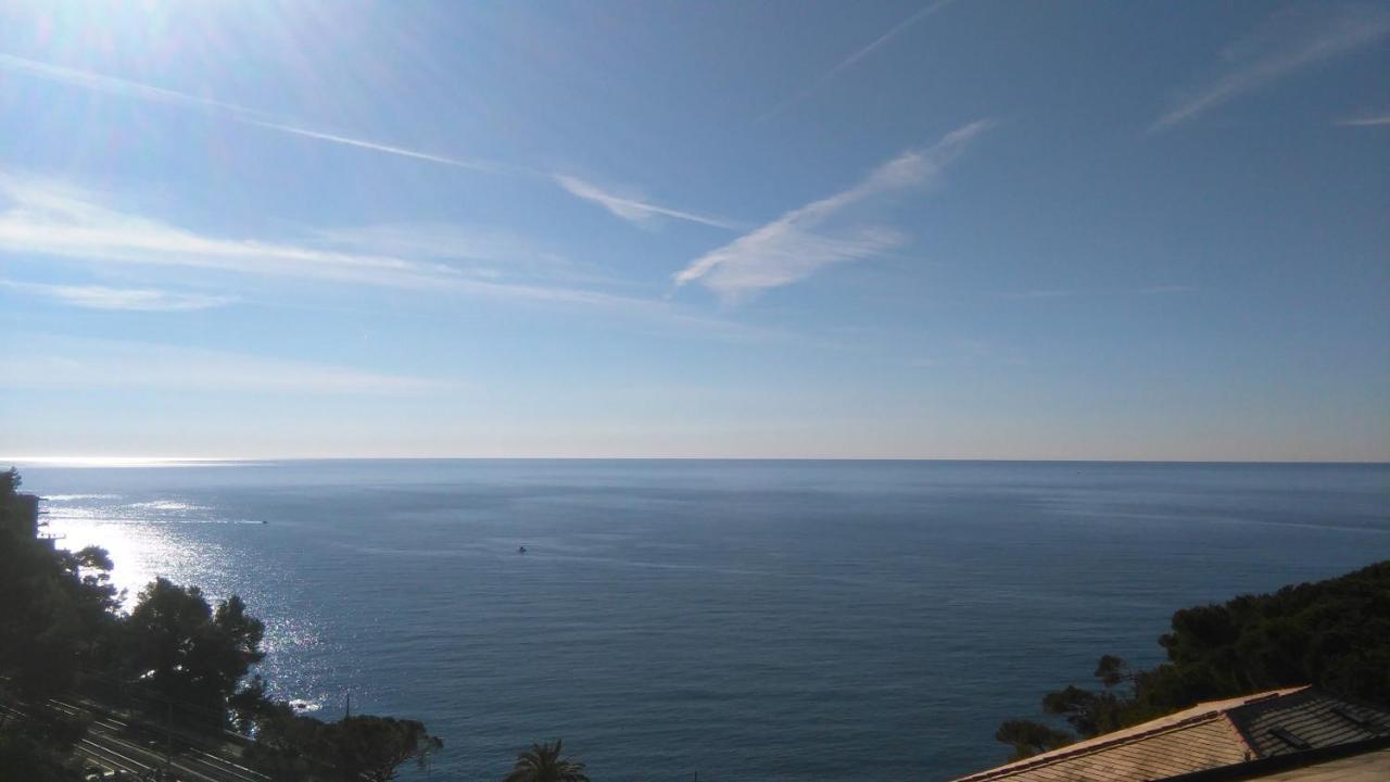 Mare E Vista Portofino - Sea And Portofino View Zoagli Extérieur photo