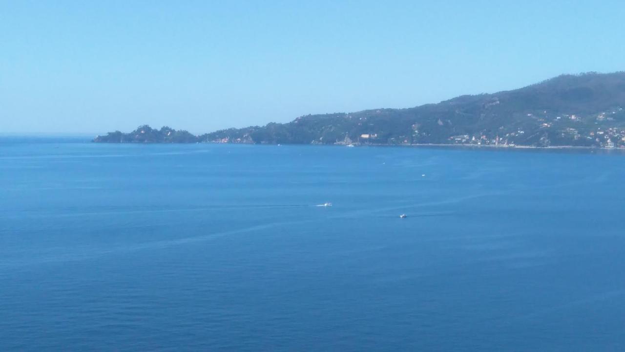 Mare E Vista Portofino - Sea And Portofino View Zoagli Extérieur photo