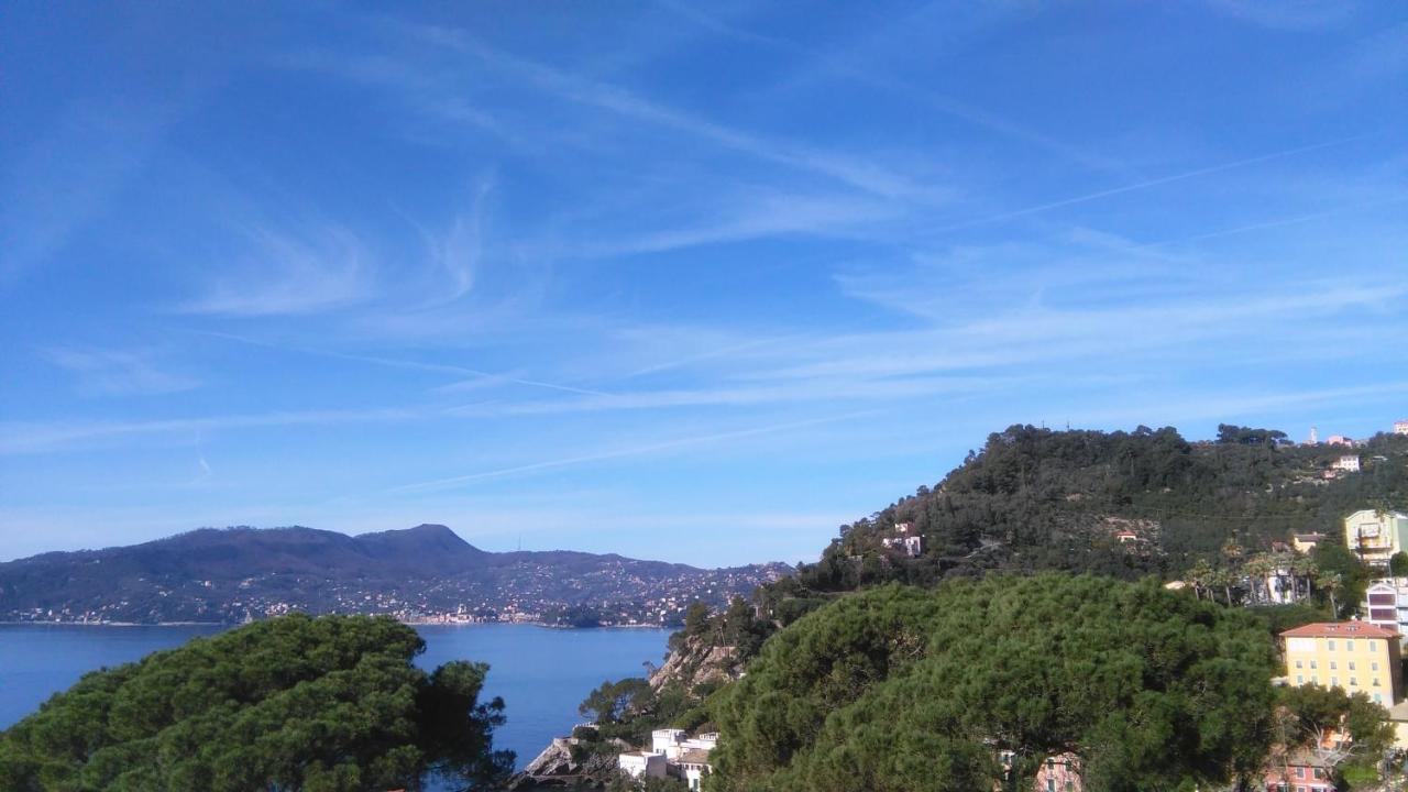 Mare E Vista Portofino - Sea And Portofino View Zoagli Extérieur photo