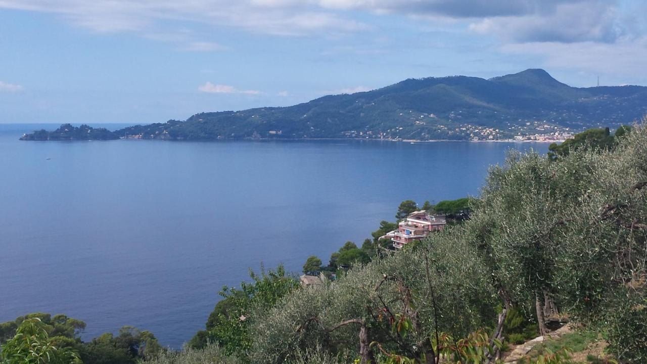 Mare E Vista Portofino - Sea And Portofino View Zoagli Extérieur photo