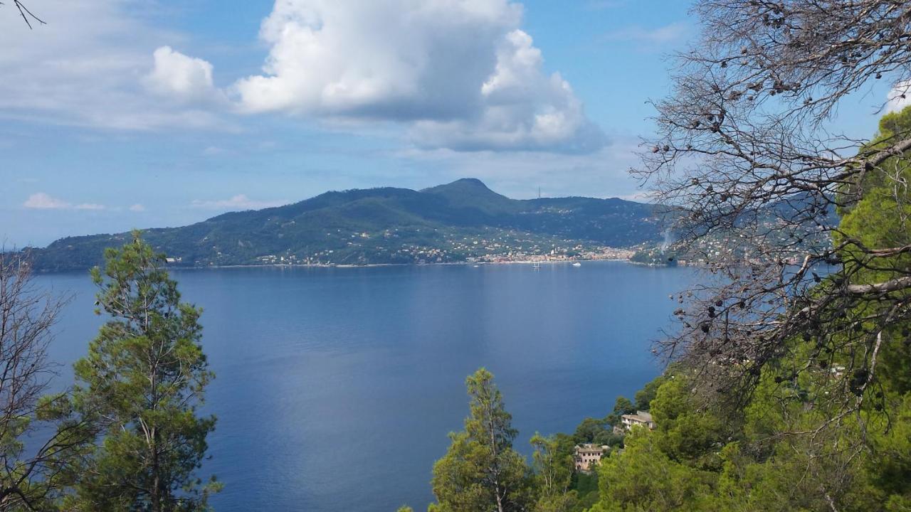 Mare E Vista Portofino - Sea And Portofino View Zoagli Extérieur photo
